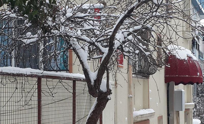 فندق أجنحة باييدار اسطنبول المظهر الخارجي الصورة